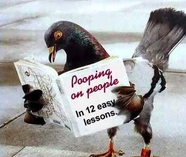 pooping