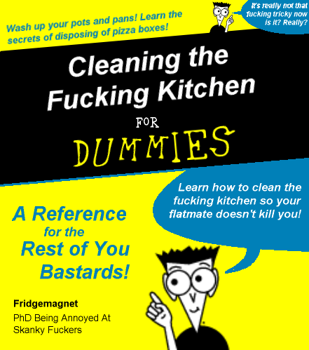 Cleaning the fucking kitchen for dummies